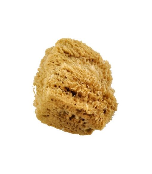 Sea Wool Sponge Large 4